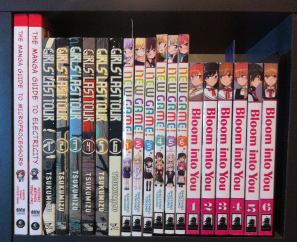Manga shelf